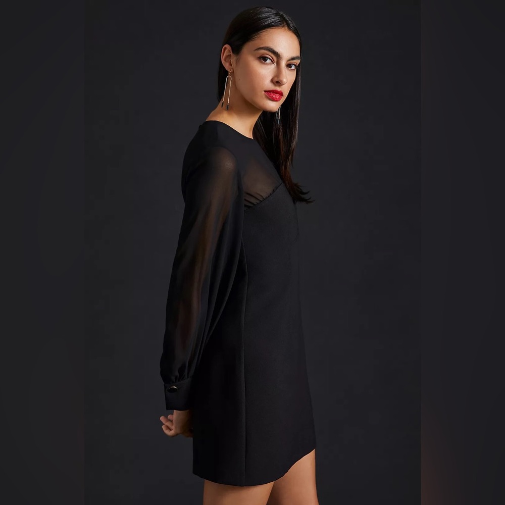 Anthropologie Maeve Sheer Long-Sleeve Mini Dress - Picture 5 of 5